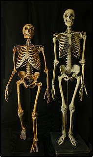 Many of us have Neanderthals in our family tree, just as some of us