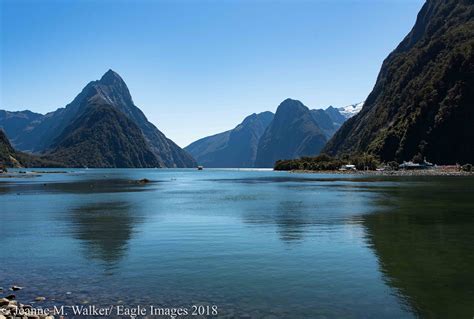 Beyond The Big Left Turn Milford Sound New Zealand