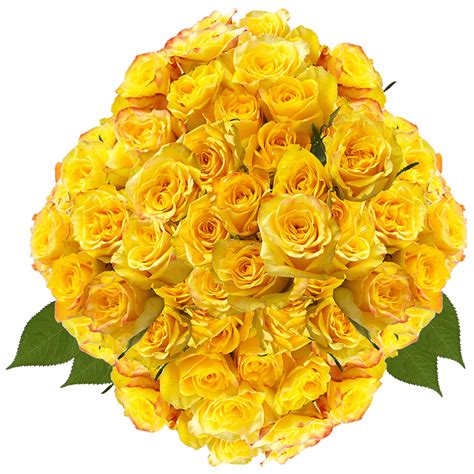 Gorgeous Yellow Roses | GlobalRose