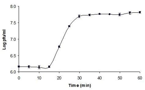 1 Step Growth Curve Of Phage Φ241 Infecting Escherichia Coli O157h7 At