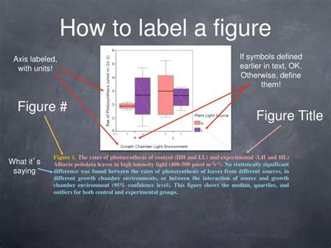 Ppt How To Label A Figure Powerpoint Presentation Free Download Id5495956