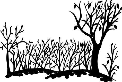 10 Nature Background Silhouette Png Transparent