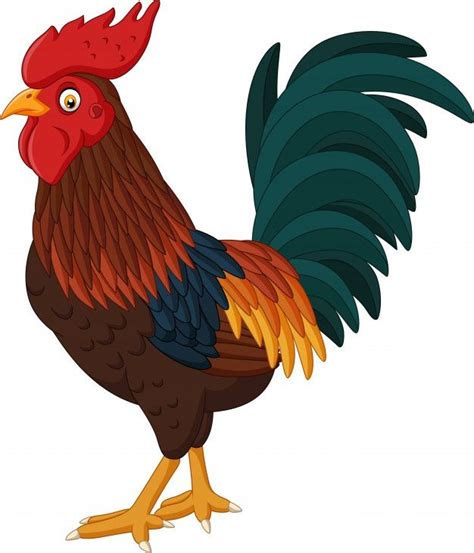 Cartoon Rooster Isolated On White Background In 2021 Cartoon Rooster