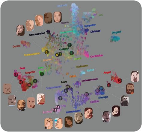 Mapping The Passions Toward A High Dimensional Taxonomy Of Emotional