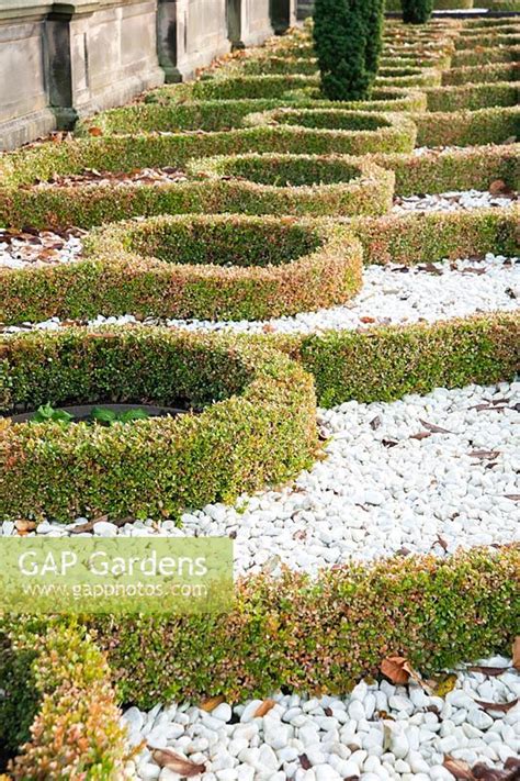 Box Parterre In The Stock Photo By Carole Drake Image 0526546