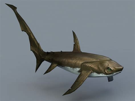 Thresher Shark 3d Model 3d Studio3ds Max Files Free Download