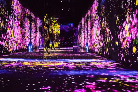 world s first digital art museum in tokyo japan a multi sensory experience artweb blog