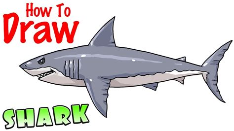 How To Draw A Shark The Easy Way Youtube