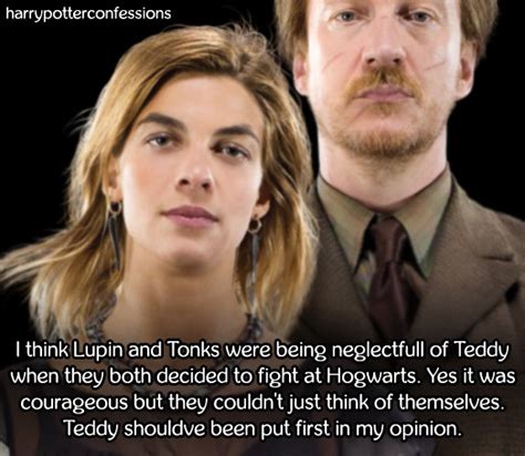 The Problem With Remus Lupin And Nymphadora Tonks Potter Archives