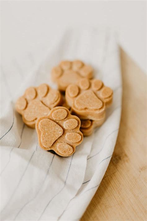 How Do You Preserve Homemade Dog Biscuits