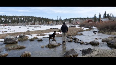 We are in the cool mountains at an 8,600 foot elevation, in the midst of tall ponderosa pine & quaking aspen trees. Family Trip to Duck Creek Village, Utah - YouTube