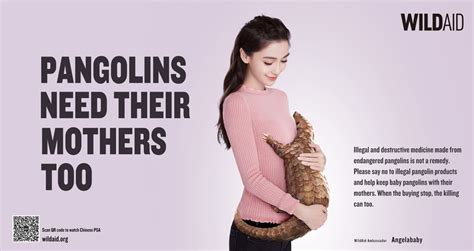 New Campaign In China Calls On Mothers To Help Protect Pangolins Wildaid