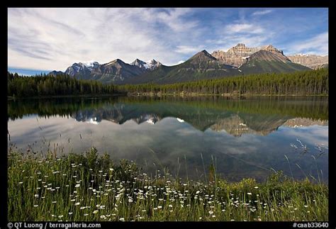 Picturephoto Herbert Lake And The Bow Range Morning Banff National
