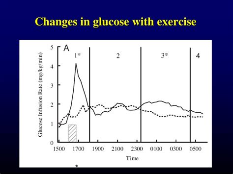Ppt Managing Glucose Before During And After Exercise In Type 1