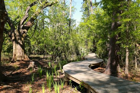 Camp Salmen Nature Park Slidell Louisiana Top Brunch Spots
