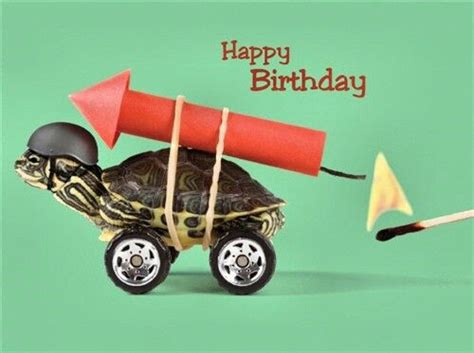 Birthday Turtle Birthday Pictures Birthday Wishes Birthday