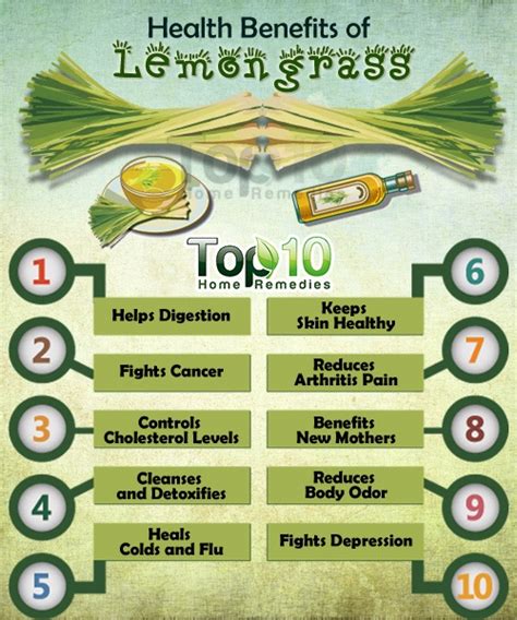 Top 10 Health Benefits Of Lemongrass Top 10 Home Remedies