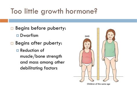 Ppt Growth Hormone Powerpoint Presentation Free Download Id3201314