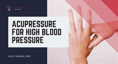 5 Best Effective Acupressure For High Blood Pressure Daily Human Care