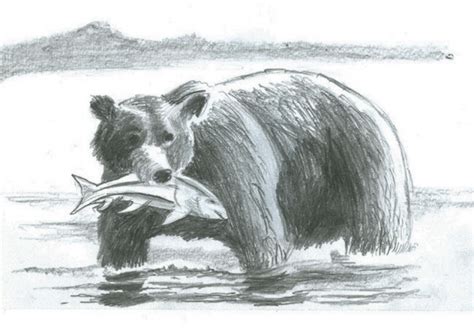 Draw a curved line for the top part of the bear's face. 10+ Bear Drawings Showcase - Hative