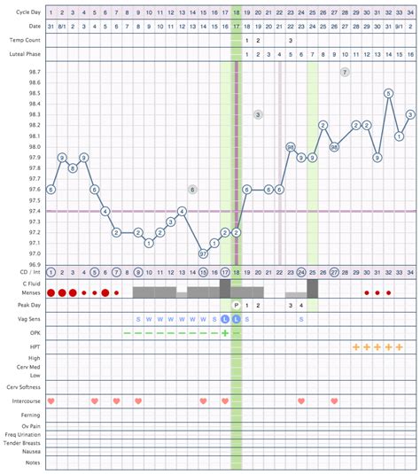 Bfp Cycles Ovagraph