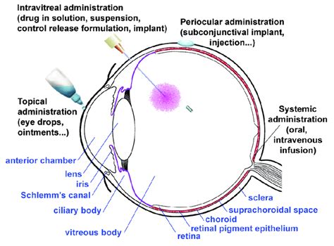 Scheme Of The Various Routes Of Ocular Drug Administration And The