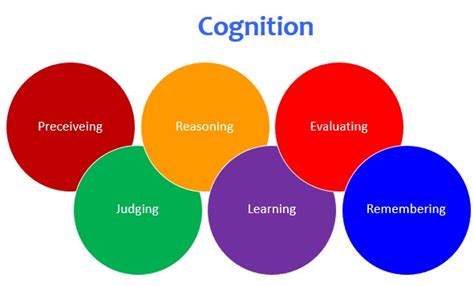 Cognition And Learning The Peak Performance Center