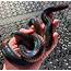 🔥 The Sunbeam Snake Is A Real Beauty  NatureIsFuckingLit