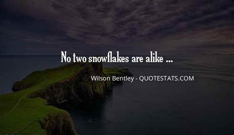 No Two Snowflakes Are Alike Quote Who Ever Said No Two Snowflakes
