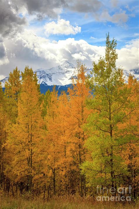Snow Capped Mountains On A Fall Day Photograph By Ronda Kimbrow Fine