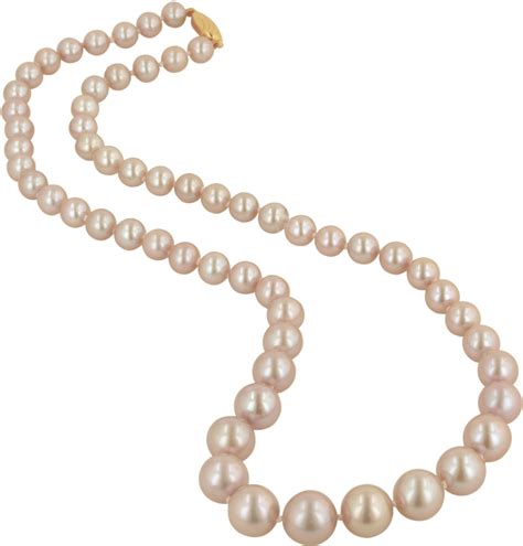 Download Jewelry Clipart Transparent Background Pearl Necklace Png