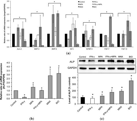 Hair growth does not occur in the absence of the papilla. IJMS | Free Full-Text | Mycophenolate Antagonizes IFN-γ ...