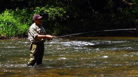 Fly Fishing Dahlonega Lumpkin County Ga Northeast Georgia Mountains