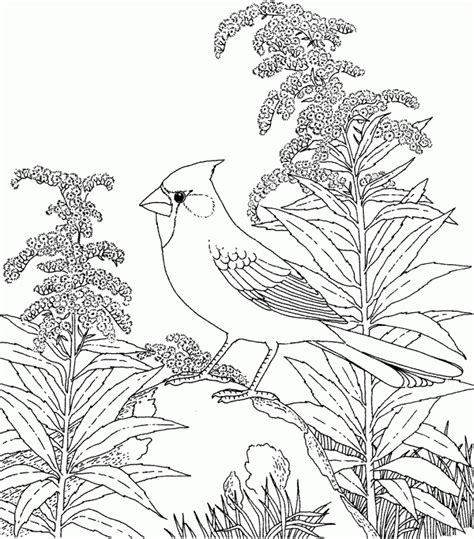 Free Nature Scenes Coloring Pages Download Free Nature Scenes Coloring