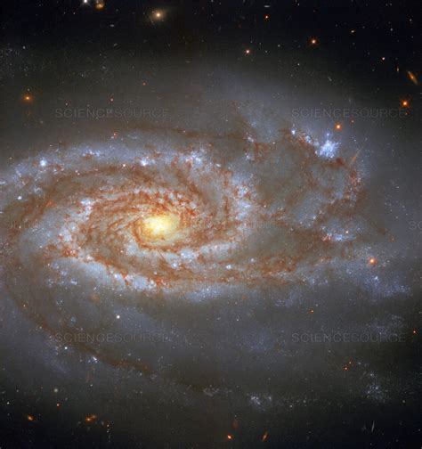 Enjoy the videos and music you love, upload original content, and share it all with friends, family, and the world on youtube. Ngc 2608 Galaxia - Barred Spiral Galaxy Archives Universe ...