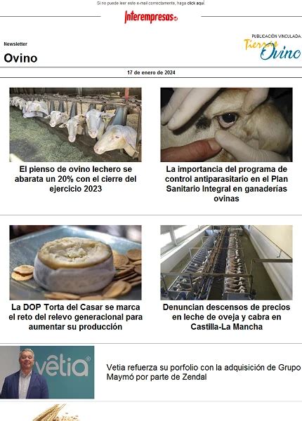 La Importancia Del Manejo Reproductivo Y La Desestacionalización En Rebaños De Carne Ovino