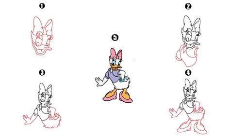 Daisy Duck Drawing A Step By Step Guide Cool Drawing Idea