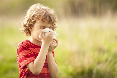 Get Relief From Your Seasonal Allergies With Alternative Treatments