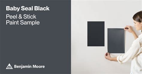 Baby Seal Black Paint Sample By Benjamin Moore 2119 30 Peel And Stick