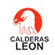 Calderas León Diseño Ingeniería y Manufactura de Calderas