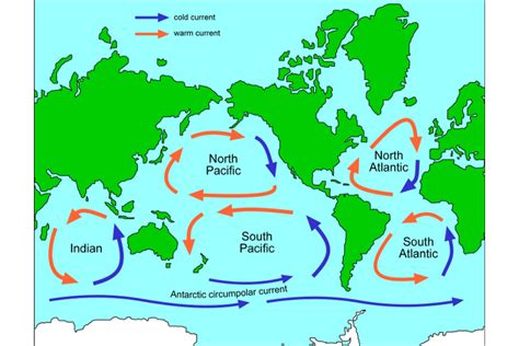 Map Of Ocean Gyres — Science Learning Hub