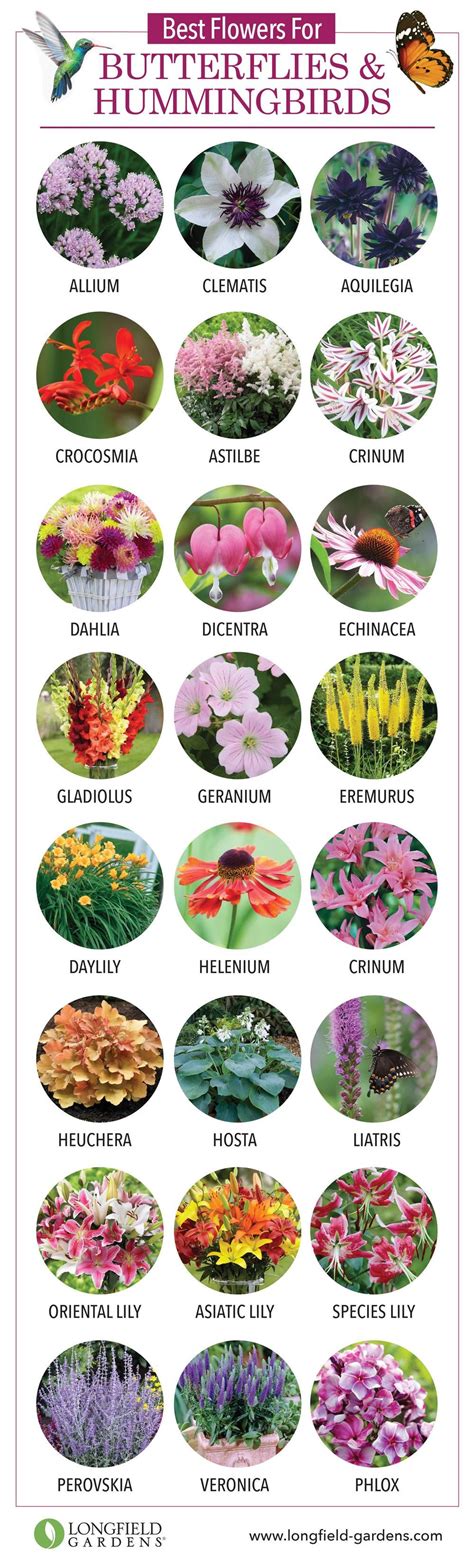 Flowers that attract hummingbirds can be the blooms of shrubs, perennials, trees and annuals. Best Flowers for Butterflies and Hummingbirds | Flowers ...