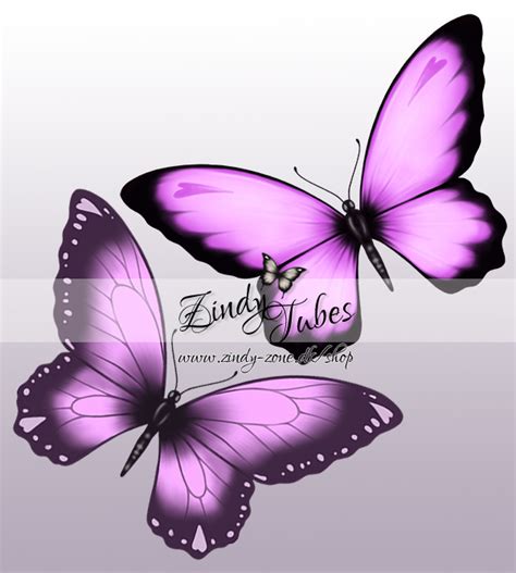 Pink And Purple Butterfly Pack 2