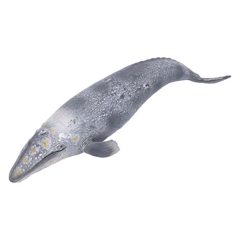 Buy Ocean Animals Realistic Sea Creature Cognitive Toy Sea World Whale