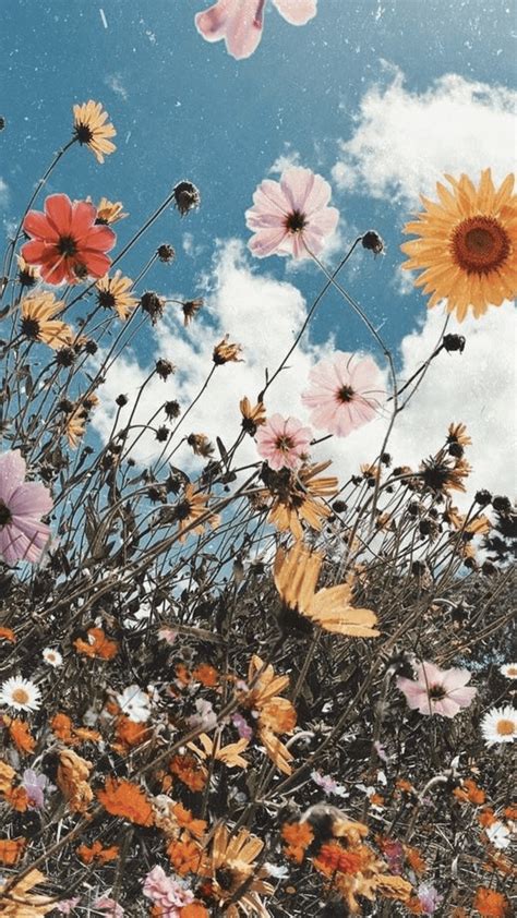 Aesthetic Garden Wallpapers Top Free Aesthetic Garden Backgrounds