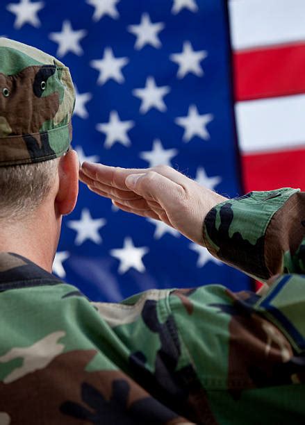 Soldier Salute Photos Stock Photos Pictures And Royalty Free Images Istock