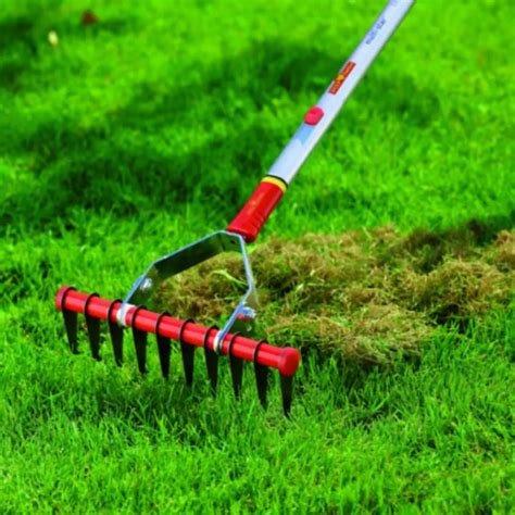 The Best Dethatcher Rake And Crane By Rock And Grass Lawn Care Products