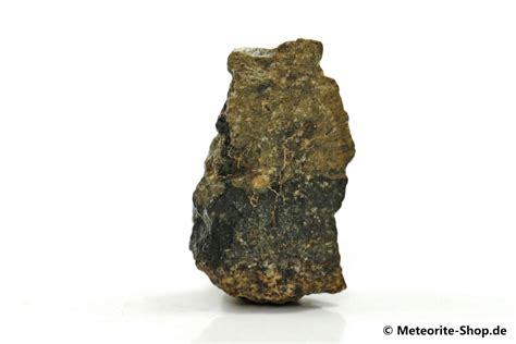 Vesta Meteorit Echtes Gestein And Meteoriten Vom Asteroiden Vesta Kaufen