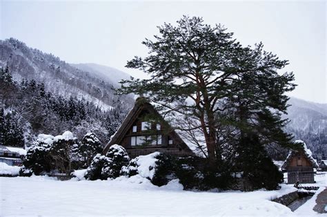 Free Images Tree Forest Snow Winter Wood House Mountain Range