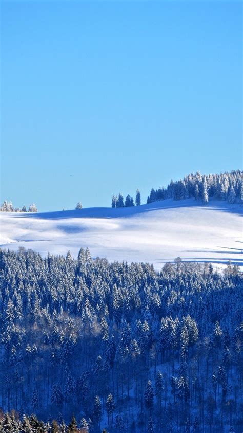 Black Forest Tree Winter Landscape Sunny Day 720x1280 Wallpaper